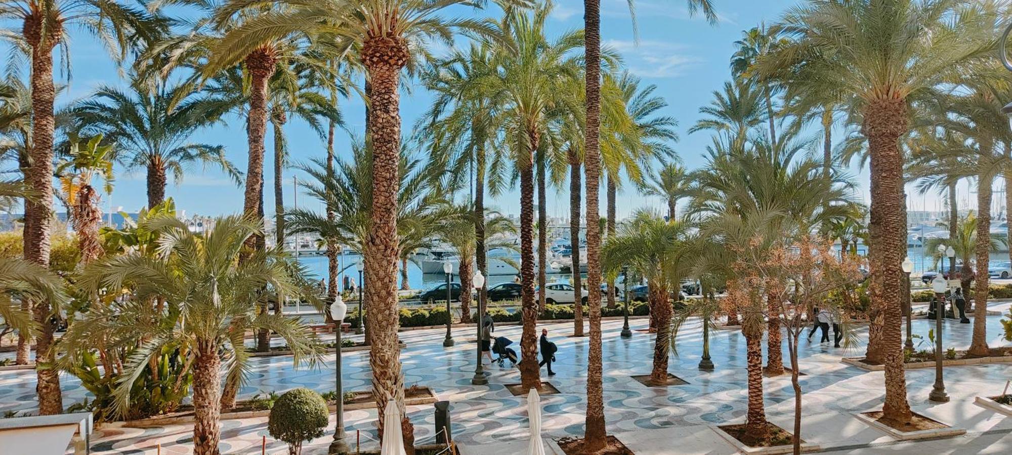 Alicantissima Marina & Beach Alicante Buitenkant foto